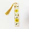 Yellow and white daisy