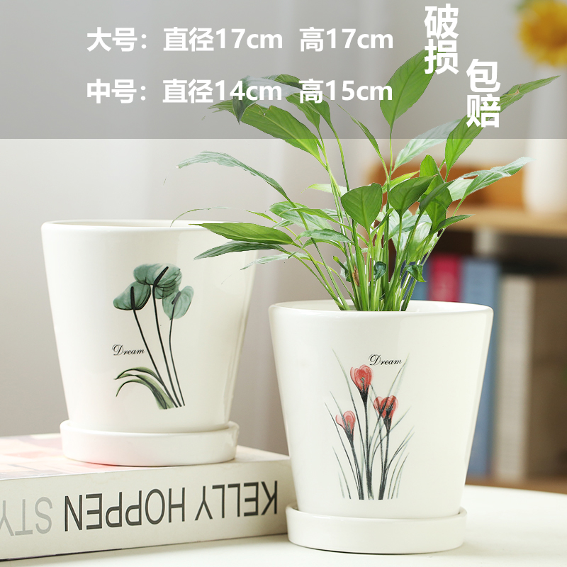 고급스러운 두 개의 큰 꽃이 피어 있습니다.