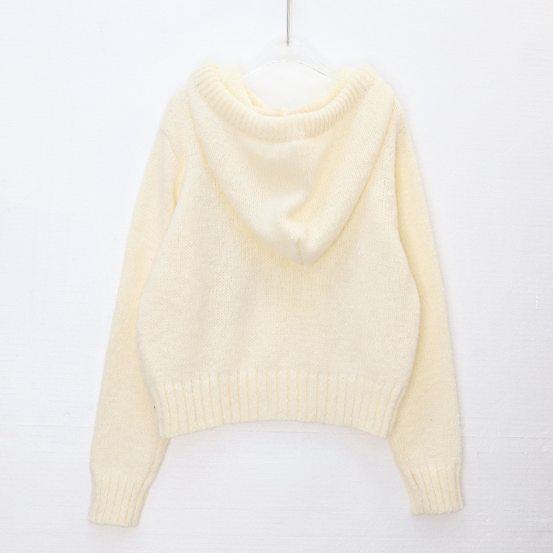 Women's Clothing light luxury sequined hooded sweater autumn and winter high end temperament versatile warm long sleeved knitted sweater women's trend_voghion.com