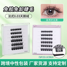 �S��ֱ�N��ʽ���Z�q�ٽ�ë 0.03���͹�ˇ�pӯ��5D���z�۽�ë���l