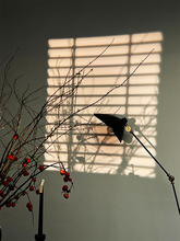 ??�Շ������񱳾����ʹ���D��ͶӰ��ֱ���g�����b��Ĕz���Ӱ