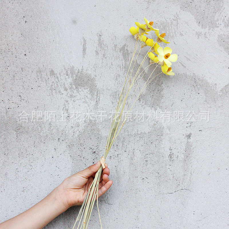 노란색(12개들이 1다발)