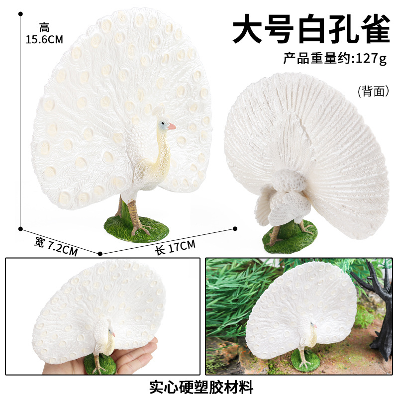 M-2965 large opening white peacock