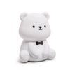 [Teddy Bear Night Light-White] Colorful Lights + Three Levels of Brightness + 30min Delay to Turn Off the Lights + One Shot to Light Up + USB Charging Cable