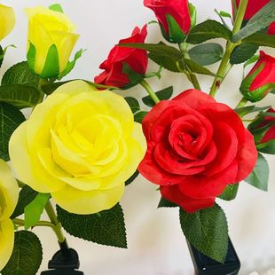 ̫���õ�廨�ز����c���ÿ͏d�[���Wʽ�L�����õ�廨�b�