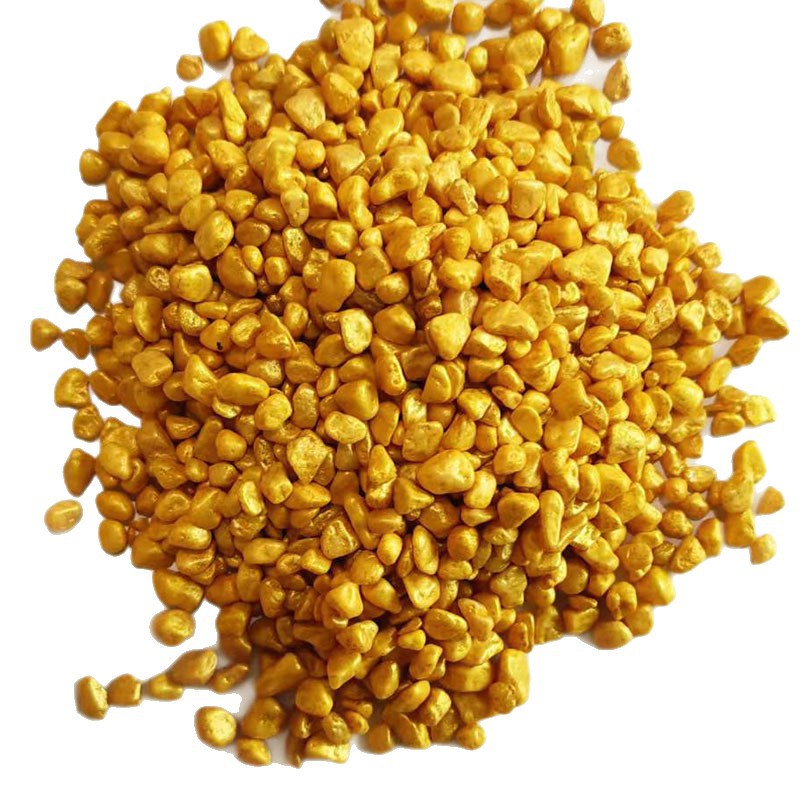 Riz Fortune Doré 500g