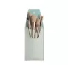 Brush, 8 pieces