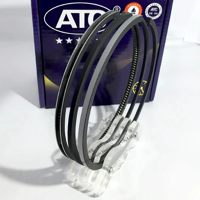 Piston, piston ring, piston pin Ring High-Performance High-Quality