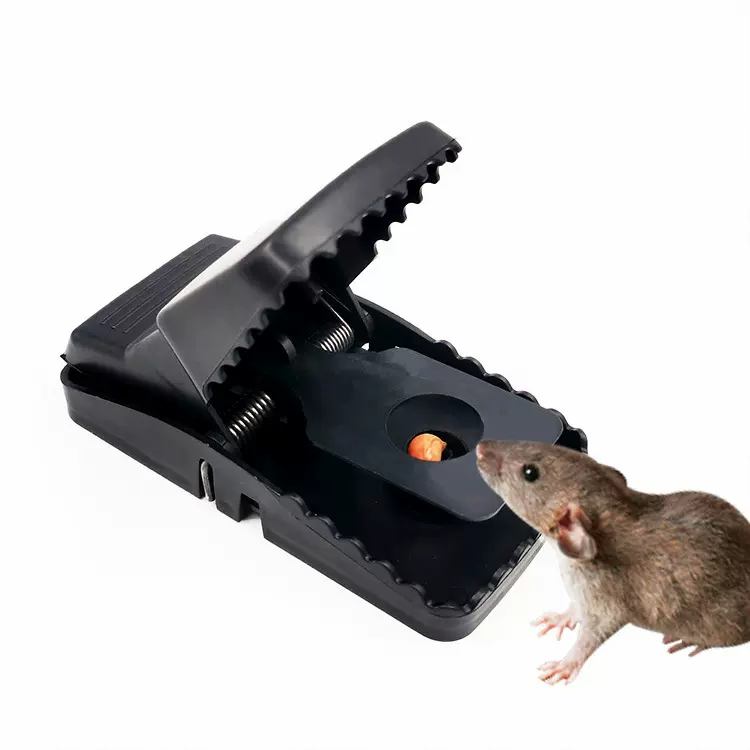 老鼠夹 捕鼠器塑料家用捕鼠夹 灵敏灭鼠工具 抓老鼠夹子 粘鼠板