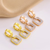 Golden earrings stainless steel, jewelry, European style, does not fade, pink gold, wholesale