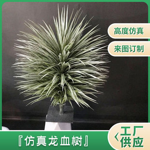 �^�p���ϻ� ��Ѫ��Gֲ�����b� ���仨���L�l�řڲ廨ͥԺ����