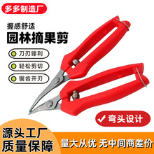 ���P��N�^ժ������ ���t�����^ժ��������ժ���ѽ��ӻ������� ��