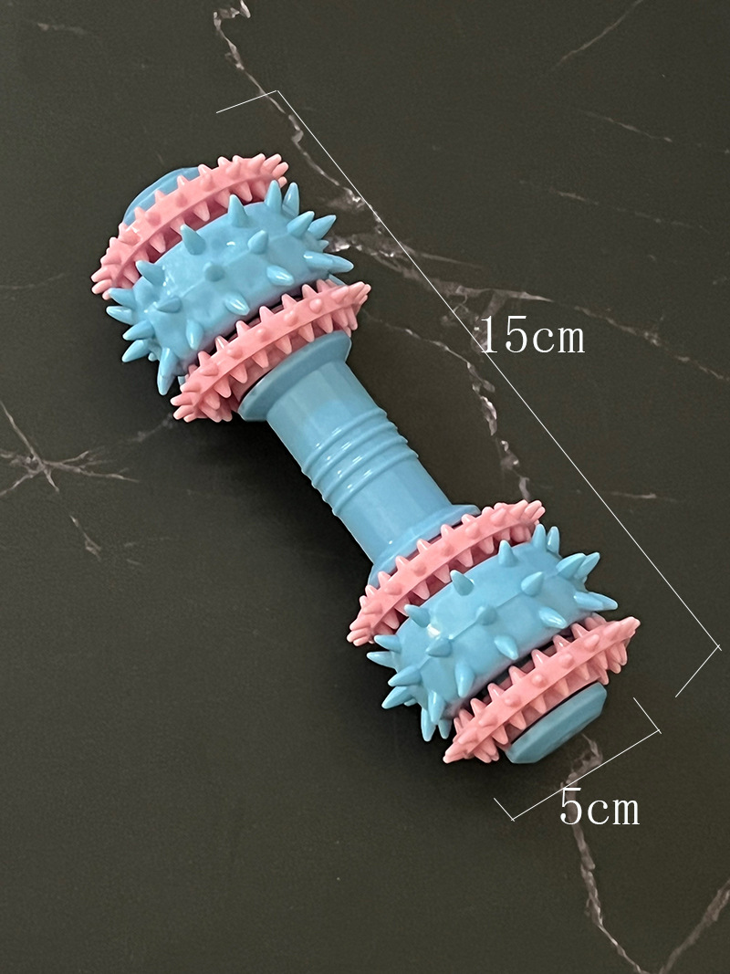파란 가시 덤벨