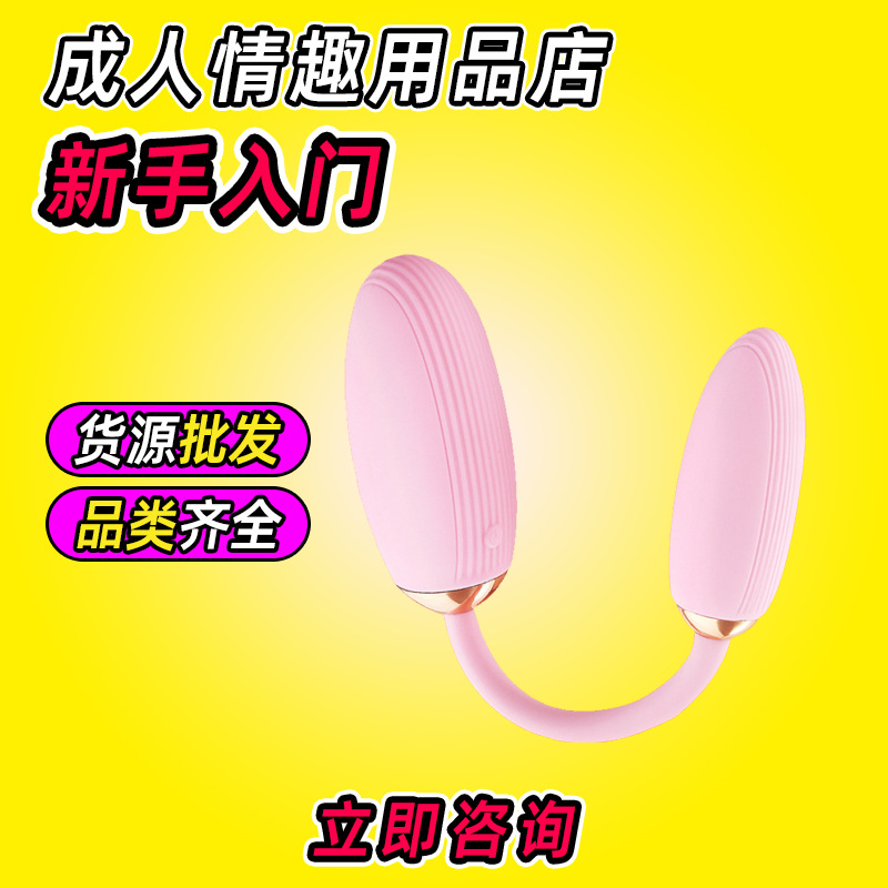 Huevo Vibrador de Doble Cabezal de ABS con Control Remoto para Adultos