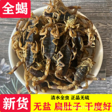 中药材全蝎干清水蝎子全虫无盐现货散装全蝎子泡酒可食用药用