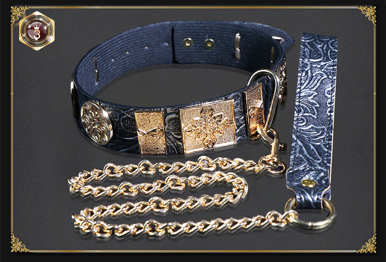 Metal and Leather Collar with Flying Fish Chain for Adult Bondage Restraint Play — detail image 5
