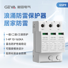 GEYA格亚GSP9防雷浪涌保护器2P4P一级二级避雷器居家防雷保护器