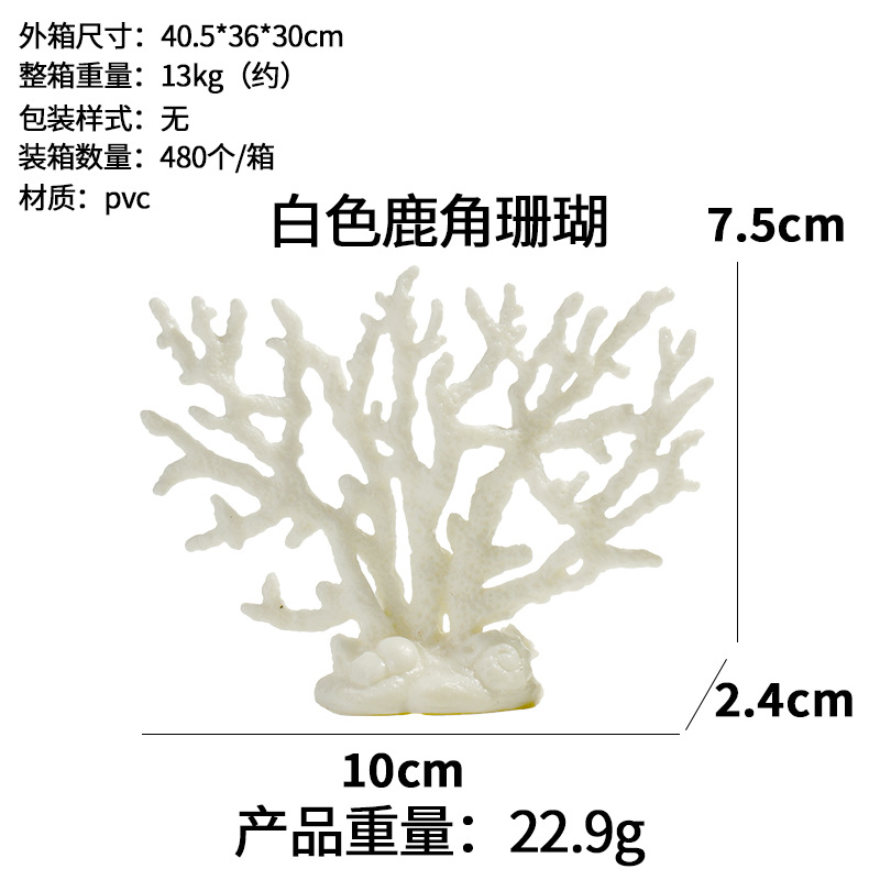 Coral de asta blanca