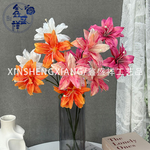 ���滨3�^С�ٺϼҾ��b�Y���������ͮ��L�ٻ��[�����l