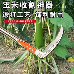 トウモロコシの鎌はトウモロコシの鎌のわらのトウモロコシの鎌の頭を刈り入れてトウモロコシの鎌の長い柄を収めます。