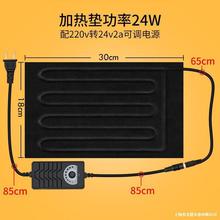 �l���绨�ݼӟ�| ֲ������|�^��늟�̺�@ˇ��Ʒ���� ����늟�