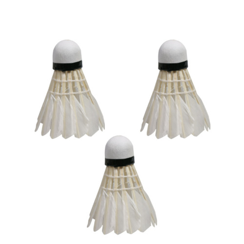 REGAIL badminton wholesale 603 tube badminton humpback thin rod soft foam head 12 badmintons