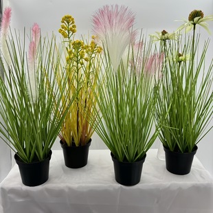 ���R�d�������[�ݼ��JȔ�ݙ����bGֲ¶�I�Lֲ