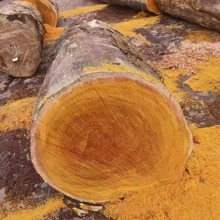 �SӲľ�Sđľ ԭľľ�� �ӹ��Sđľ��ľ �SӲľ����ľ �S��ľľ��