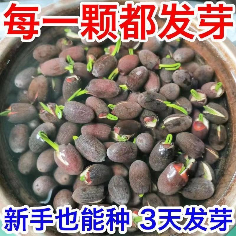 06ea6658-6925-49f4-9924-c62461e39f00.jpe