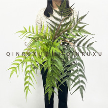 软胶仿真绿植金丝猴蕨把束蕨类植物墙绿植造景室内软装电视柜插花