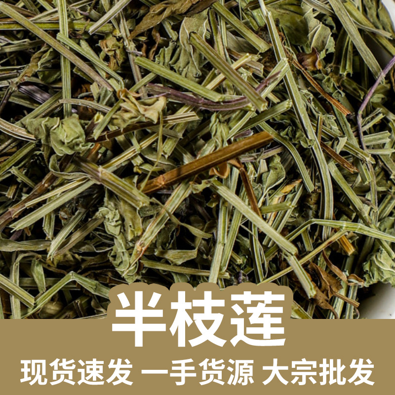 Ban Zhi Lian Dried Scutellaria barbata Herb 500g Sun Dried Whole Plant for Decoction and Herbal Tea key features