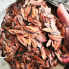 2021 new goods Eucommia dried food 500 Eucommia goods in stock Raw materials natural