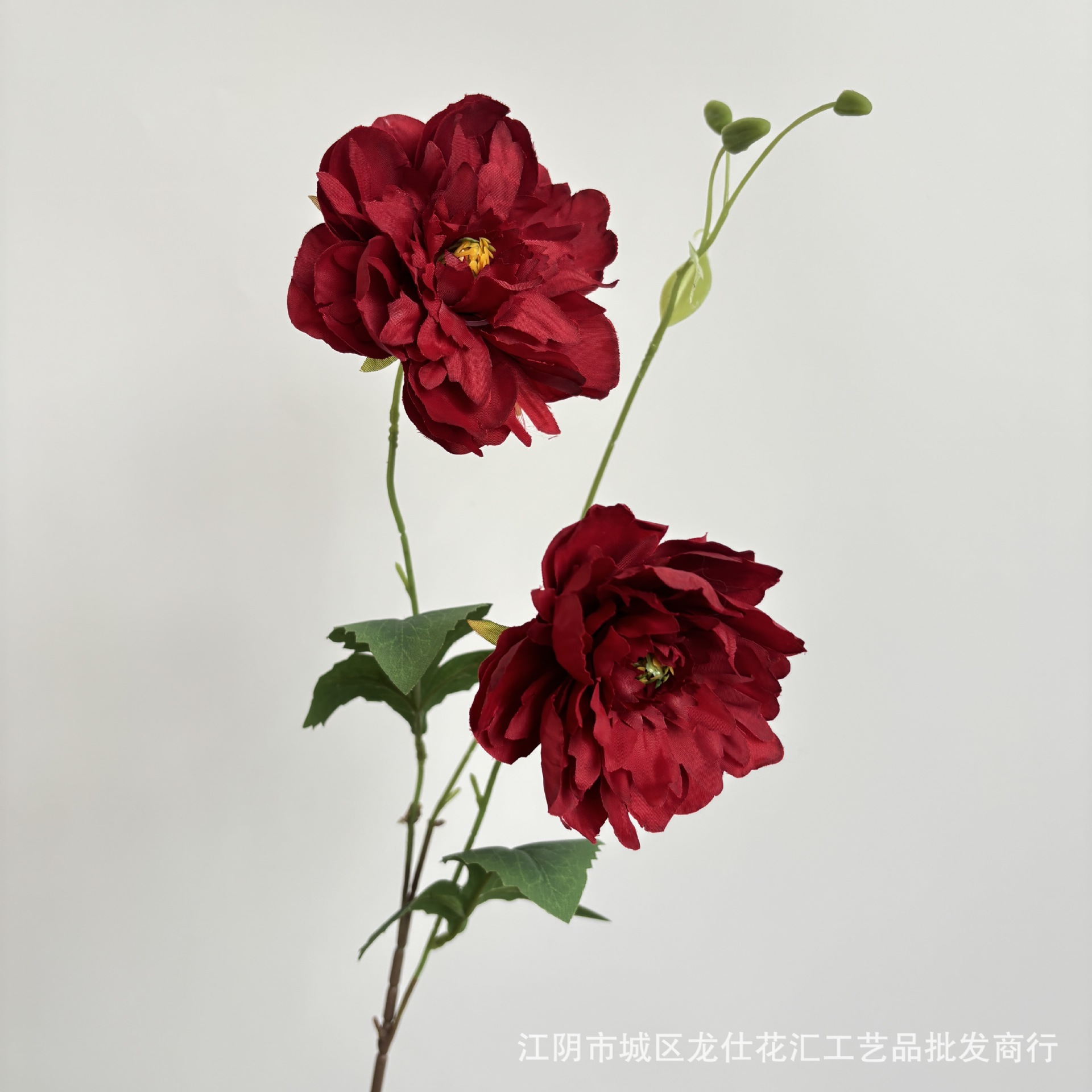 똑똑한 히비스커스 2개