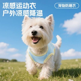 猫猫玩具;狗狗牵引;狗狗玩具