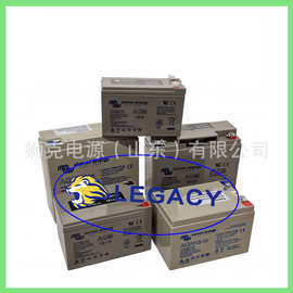 荷兰VICTRON ENERGY蓄电池AGM12V-90AH (12V80AH@10h  Rate）电瓶