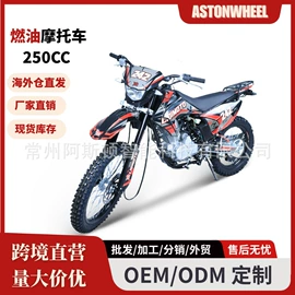 其他摩托车;沙滩车;滑板车