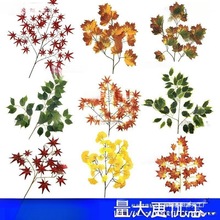 ��ͩ�~�~�Ӽ٘��~�����bGֲ�����~�^�z�����＾�t�y���~���~