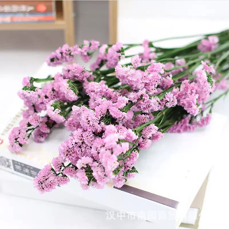 勿忘我干花论斤卖花束高级感永生花材料批發diy婚庆装饰生日礼物