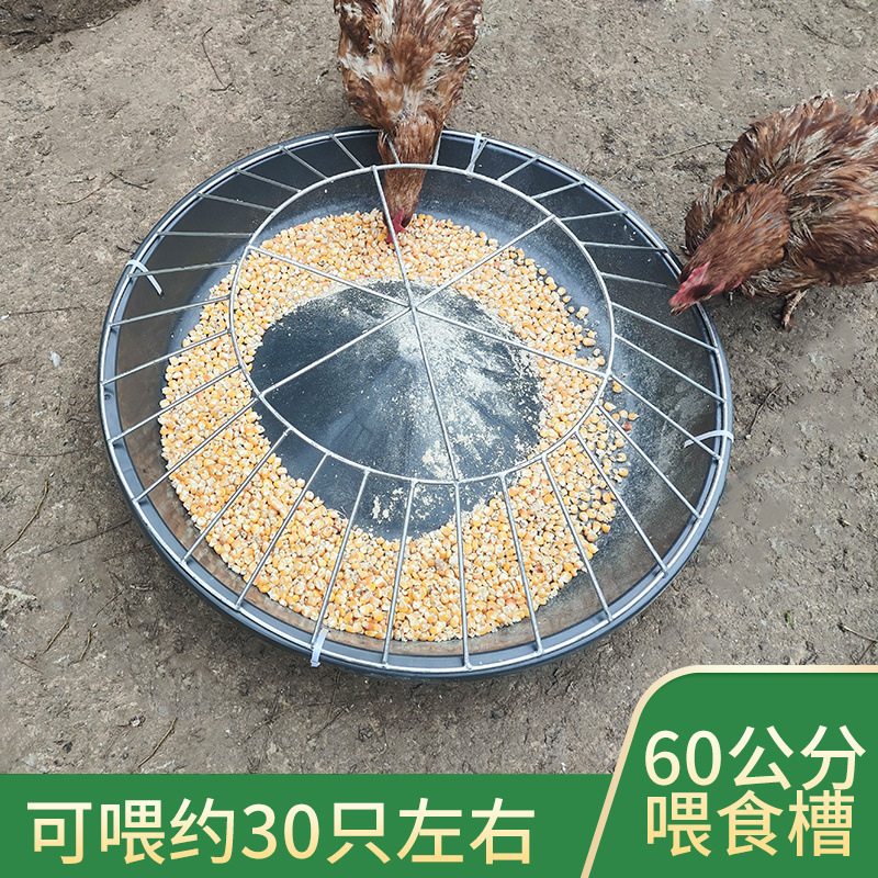 Alimentación de pollo de acero inoxidable para patos redondos para la cría de patos y la alimentación de nuevos tipos de alimentación de agua para engrosar la caja de alimentación para ganadería de aves de corral