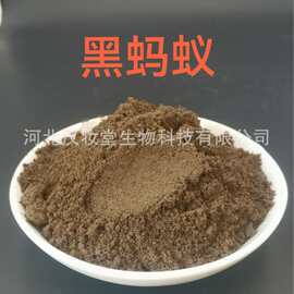 黑蚂蚁粉正品中药粉专业中药材超微粉加工中药配方磨粉超低温磨粉