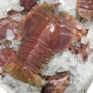 �����r�r���ك�ƤƤ�r���r���r���r������X���r�r�������r����