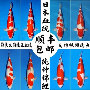 ��Ʒ�\���~���NͥԺ�B���~�^�p�~�t�״�����ɫ�Ѻ�����w�^�p�~