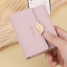 ¿Ůʿ羳̿XnСºsٴ~ӴیWӲX