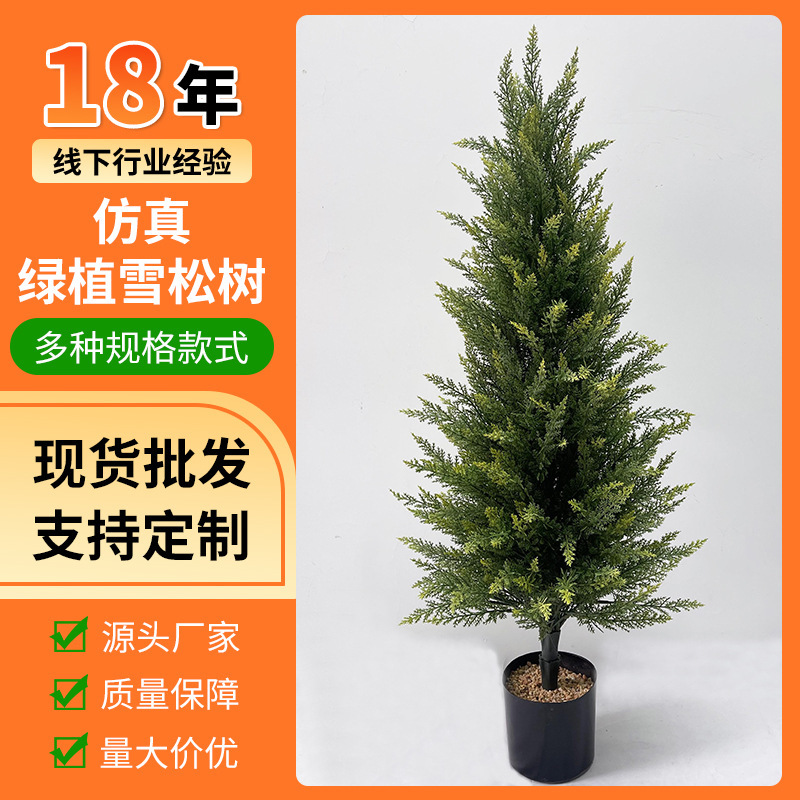 模擬松、杉、大型緑の植物、鉢植え、小さな香りのよい松、崖松、クリスマス植物の装飾、造園ツリーの装飾品|undefined