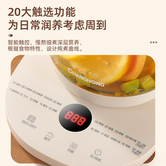 Cahnghong/Changhong Health Pot Multifunctional Dorm Tea Maker Office Constant Temperature Pot Wholesale Home Use Decoction Pot