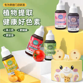 仙妮贝儿果蔬色素天然色素12色蛋糕色素手工调色食用烘焙原料38g
