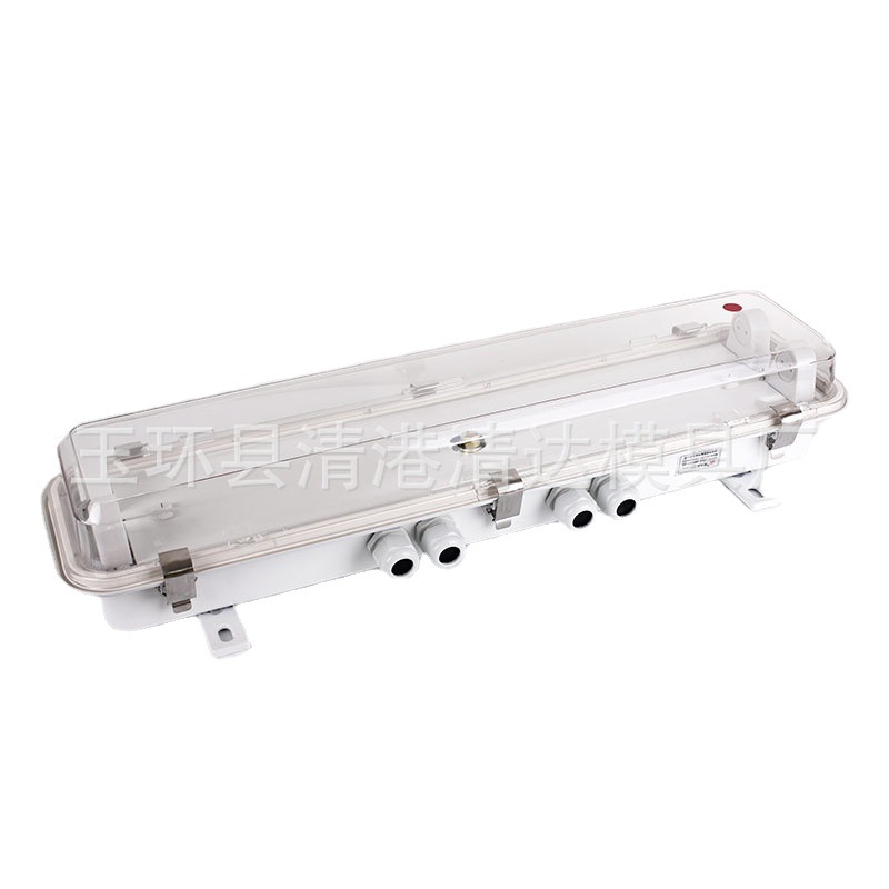 船用荧光舱顶灯JCY24-2E  船用灯具 船用照明灯具 2*20W船用灯具