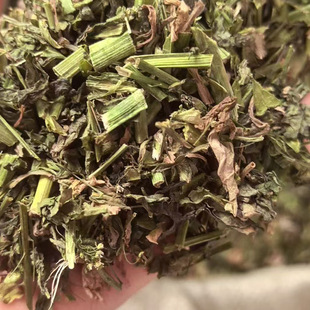 �j�˻�����ș�j�˻� �j�� ��؛���j�� �j�˸����r��ș����؛