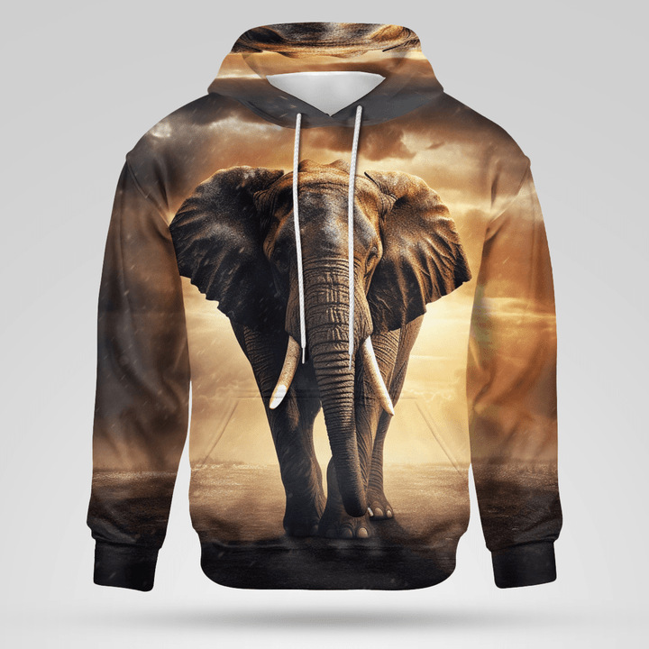 Sweat à capuche garçon motif éléphant impression 3d pull_voghion.com