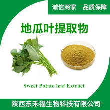 地瓜叶红薯叶提取物10:1 水溶性地瓜叶粉1kg起售另有地瓜叶生粉